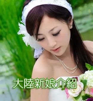 大陸新娘介紹