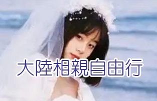 大陸相親自由行
